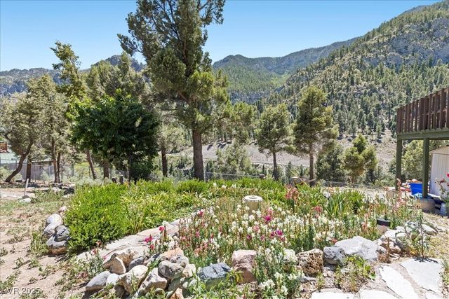 239 Crestview Drive, Mount Charleston, NV 89124