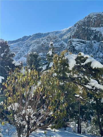 239 Crestview Drive, Mount Charleston, NV 89124