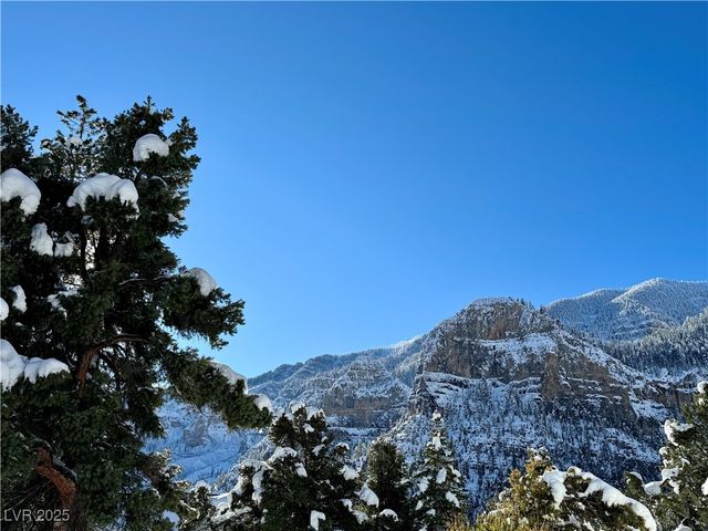 239 Crestview Drive, Mount Charleston, NV 89124