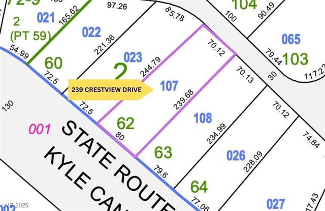 239 Crestview Drive, Mount Charleston, NV 89124