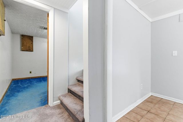 6812 Switch Bark Ct, Louisville, KY 40228