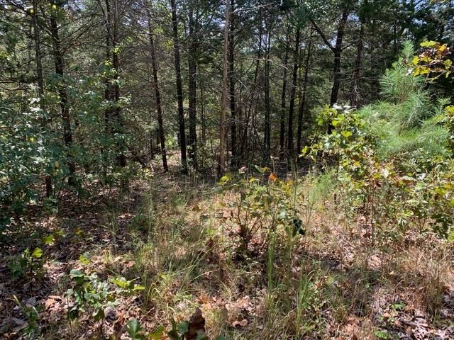 TBD San Juan Trail, Cherokee Village, AR 72529