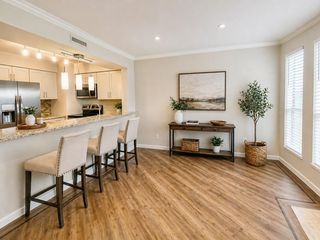 17202 Imperial Valley Drive 7, Houston, TX 77060