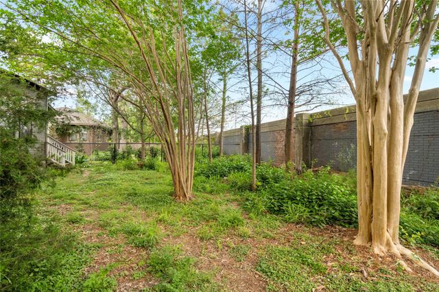 809 Woodrow Street, Houston, TX 77006