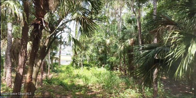 0 Cinnamon Fern Blvd Boulevard, Cocoa, FL 32927