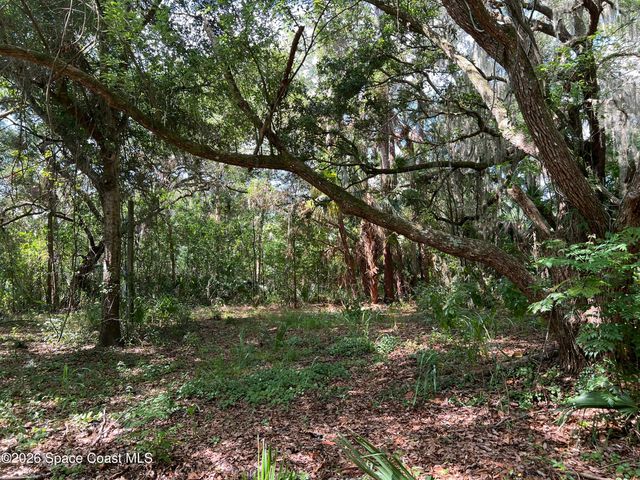 0 Cinnamon Fern Blvd Boulevard, Cocoa, FL 32927