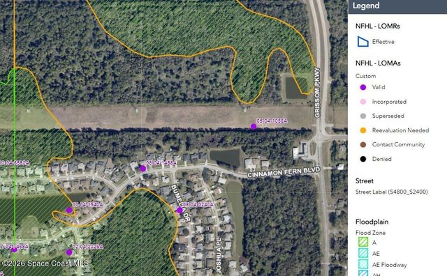 0 Cinnamon Fern Blvd Boulevard, Cocoa, FL 32927