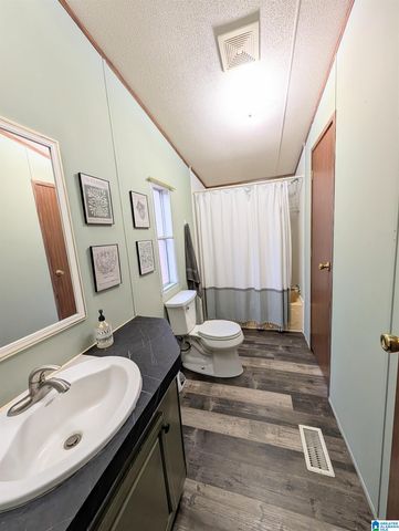 2573 HIRAM LANE, Good Springs, AL 35560