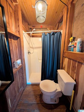 2573 HIRAM LANE, Good Springs, AL 35560