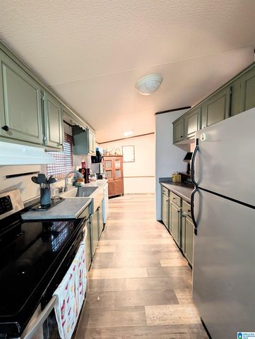 2573 HIRAM LANE, Good Springs, AL 35560