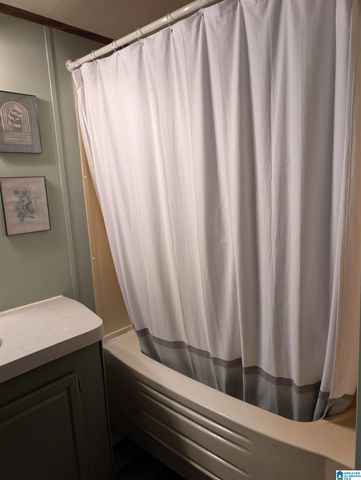 2573 HIRAM LANE, Good Springs, AL 35560