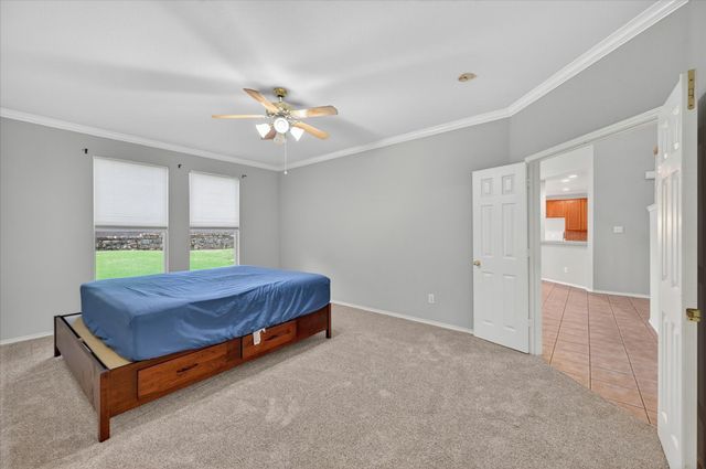6514 Daisy Drive, Arlington, TX 76017