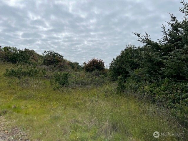 30507 K Place, Ocean Park, WA 98640