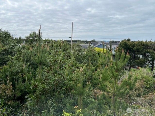 30507 K Place, Ocean Park, WA 98640