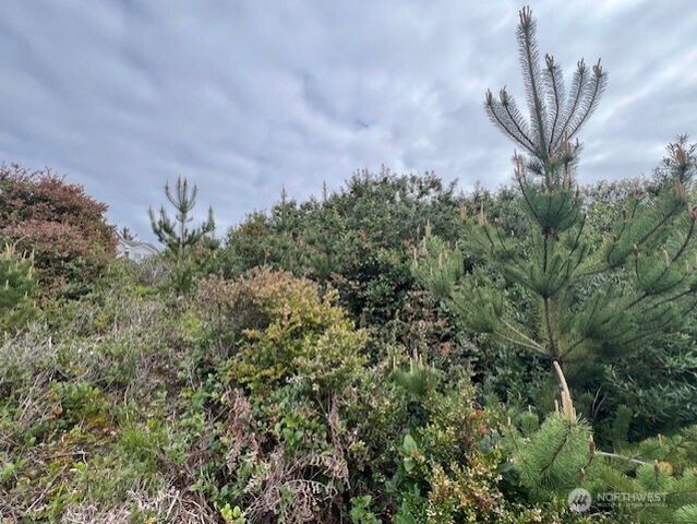 30507 K Place, Ocean Park, WA 98640