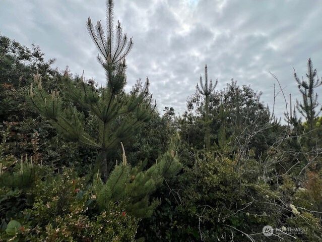 30507 K Place, Ocean Park, WA 98640