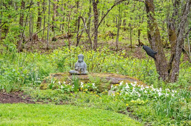 753 Scrabble Hill Road, Duxbury, VT 05676