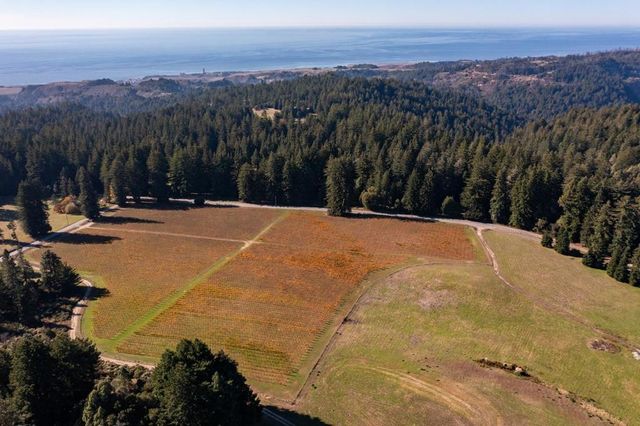 420 Bonnie Brae Road & 3980 Bonny Doon Road, Santa Cruz, CA 95060