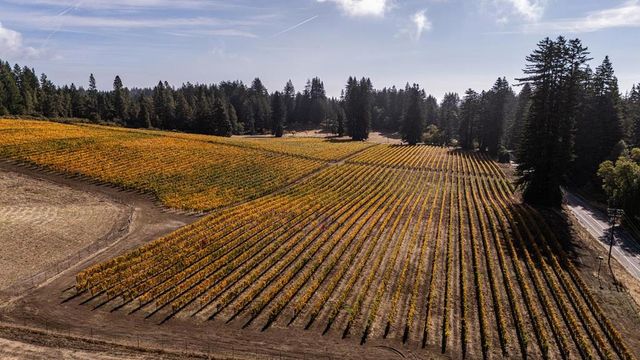 420 Bonnie Brae Road & 3980 Bonny Doon Road, Santa Cruz, CA 95060