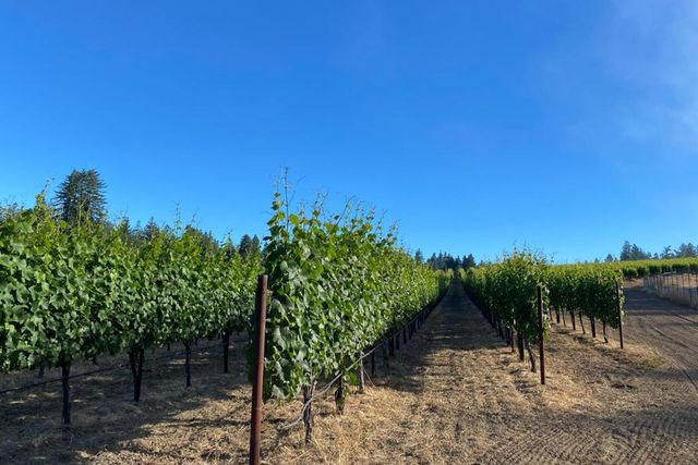 420 Bonnie Brae Road & 3980 Bonny Doon Road, Santa Cruz, CA 95060