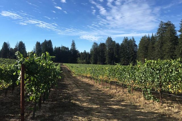 420 Bonnie Brae Road & 3980 Bonny Doon Road, Santa Cruz, CA 95060