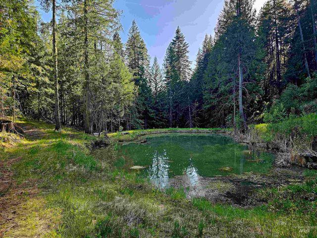 1051 Cottage Lane, Kendrick, ID 83537
