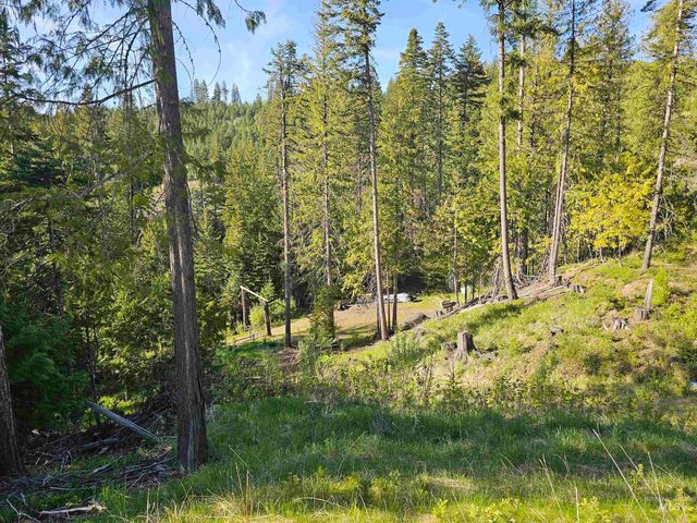 1051 Cottage Lane, Kendrick, ID 83537