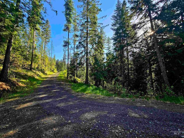1051 Cottage Lane, Kendrick, ID 83537