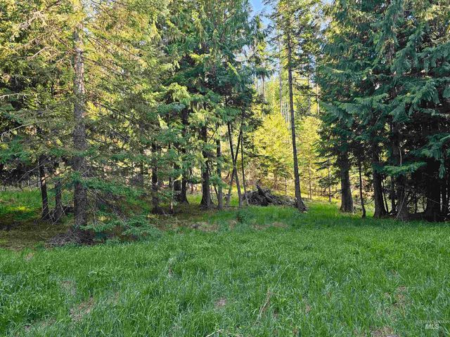 1051 Cottage Lane, Kendrick, ID 83537