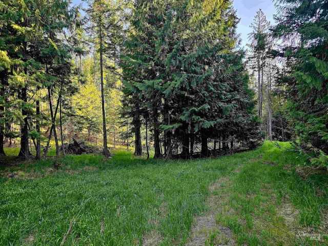 1051 Cottage Lane, Kendrick, ID 83537
