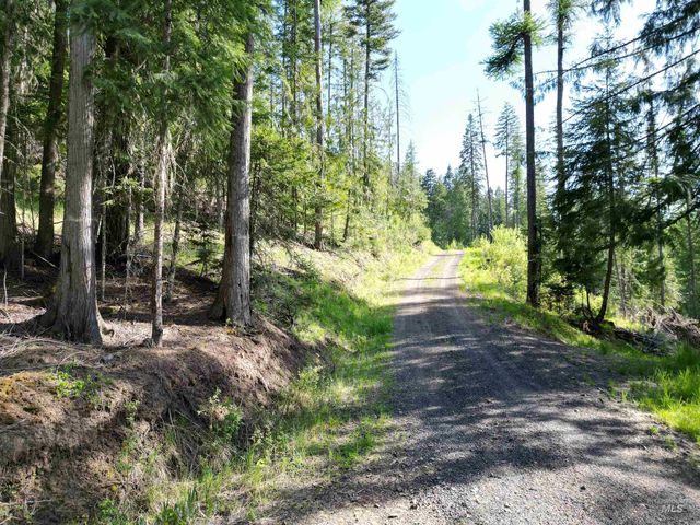 1051 Cottage Lane, Kendrick, ID 83537