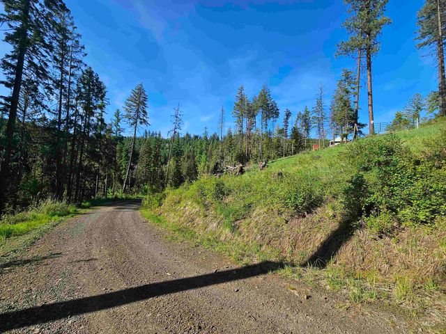 1051 Cottage Lane, Kendrick, ID 83537