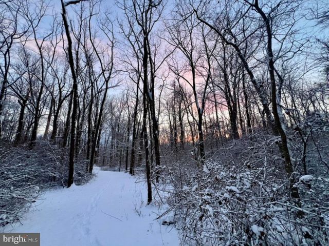 1230 CHILLY HOLLOW RD, Berryville, VA 22611