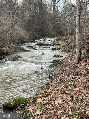 1230 CHILLY HOLLOW RD, Berryville, VA 22611