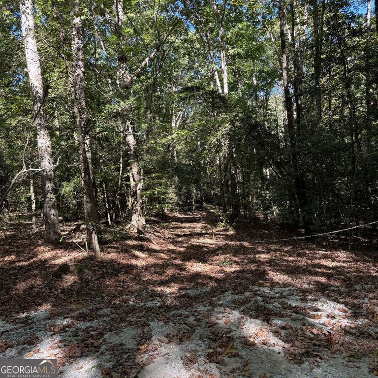 1035 Holly Hills Drive, Hartwell, GA 30643 — exterior