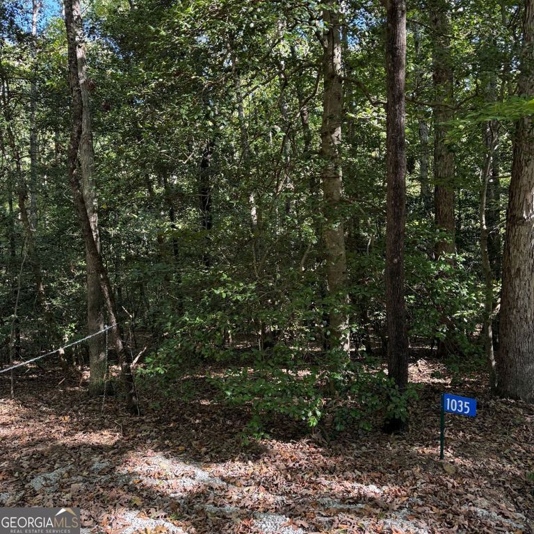 1035 Holly Hills Drive, Hartwell, GA 30643 — photo 2