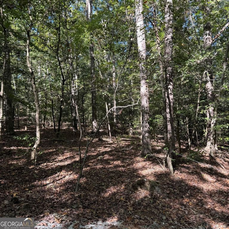 1035 Holly Hills Drive, Hartwell, GA 30643 — photo 3