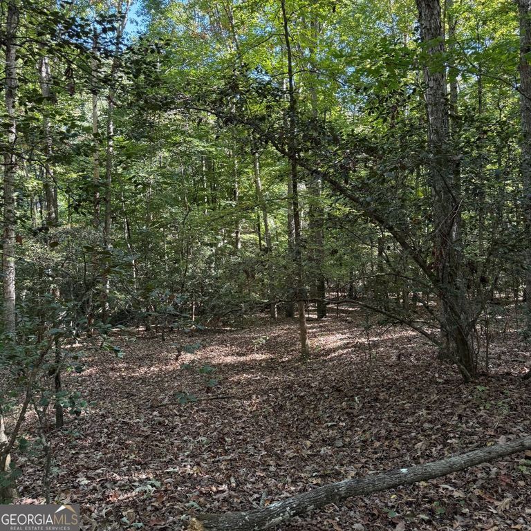 1035 Holly Hills Drive, Hartwell, GA 30643 — photo 4