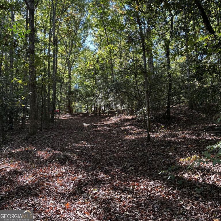 1035 Holly Hills Drive, Hartwell, GA 30643 — photo 5