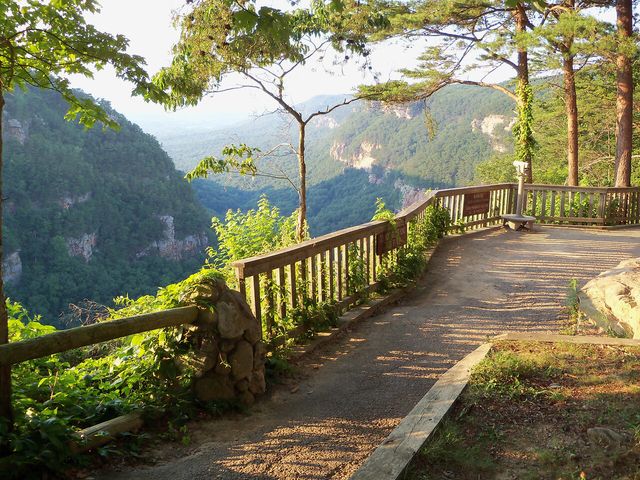 106-C Founding Way 29, Lookout Mountain, GA 30750