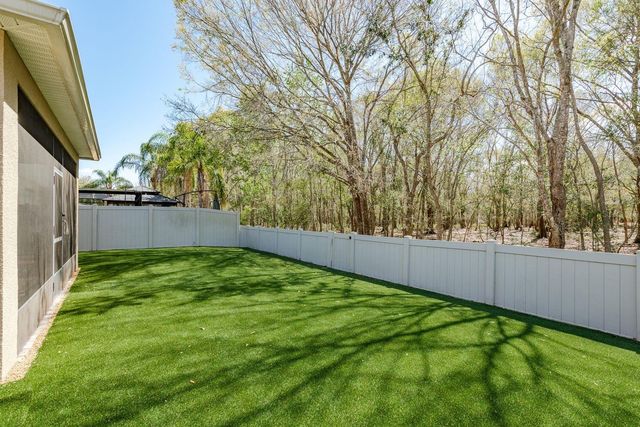 17902 CUNNINGHAM COURT, Land O Lakes, FL 34638