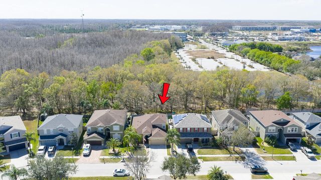 17902 CUNNINGHAM COURT, Land O Lakes, FL 34638