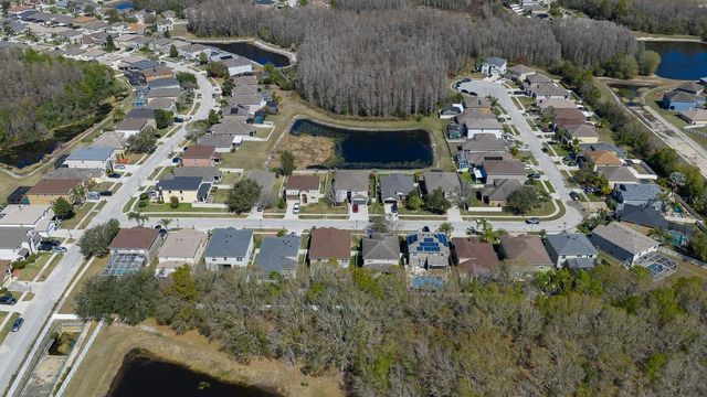 17902 CUNNINGHAM COURT, Land O Lakes, FL 34638