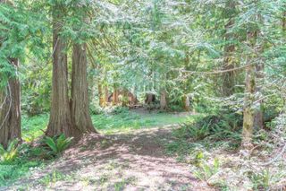 0 Maple Avenue, Brinnon, WA 98320