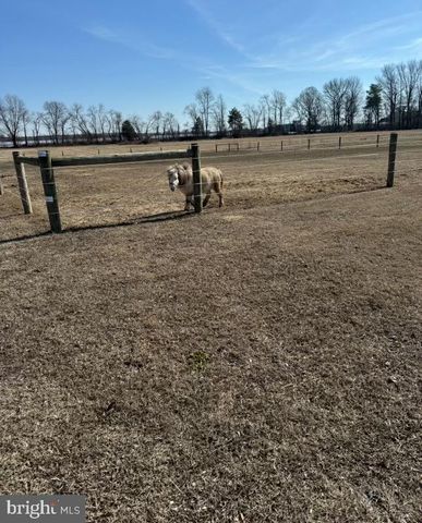 84 SPOTTED ACRES FARM LN, Dover, DE 19904