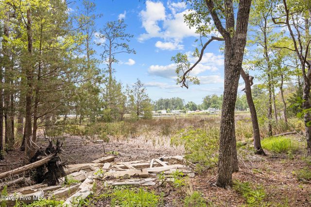27 Cedar Bluff Lane, Oriental, NC 28571