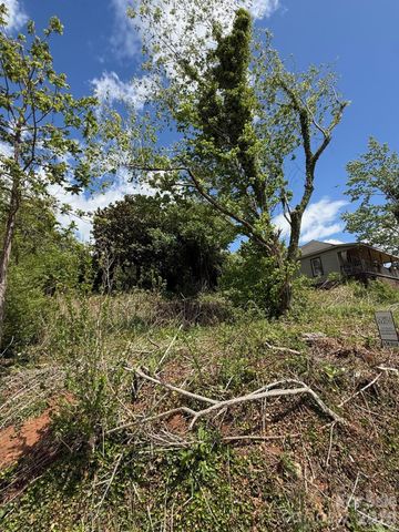 22 Clark Lane, Canton, NC 28716