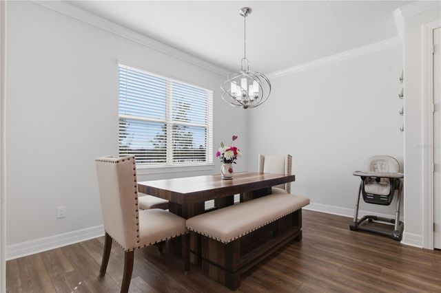 18138 FRAME BEND, Land O Lakes, FL 34638