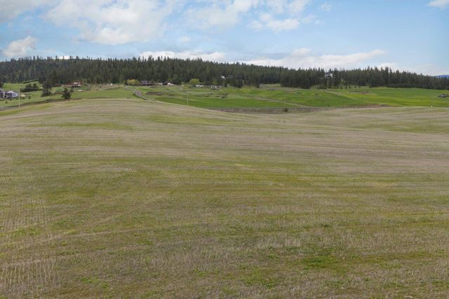 9905 E Peone Landing Ln, Mead, WA 99201