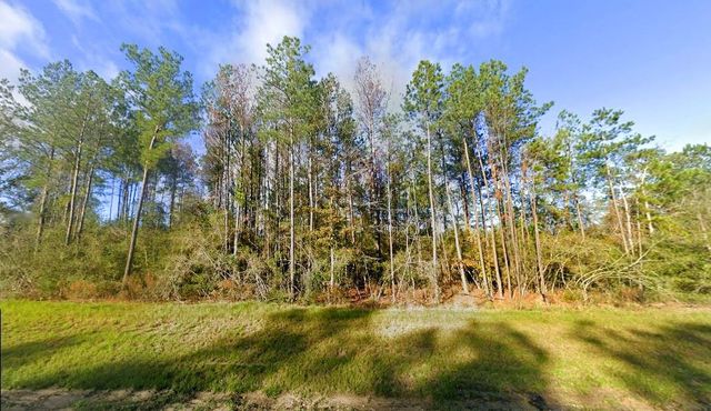 10633 Ruger Road, Willis, TX 77378